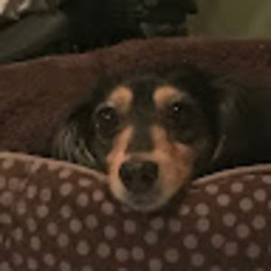 Meet your Posher, Ingrid roberts